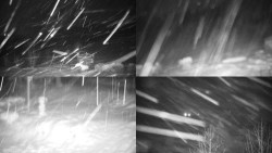 Sdružený snímek okolí chaty Myslivna