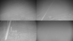 Sdružený snímek okolí chaty Myslivna