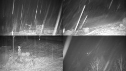 Sdružený snímek okolí chaty Myslivna