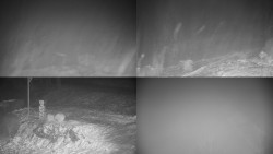 Sdružený snímek okolí chaty Myslivna