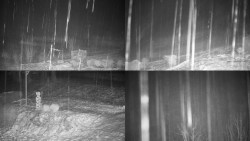 Sdružený snímek okolí chaty Myslivna