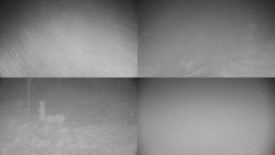 Sdružený snímek okolí chaty Myslivna