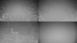 Sdružený snímek okolí chaty Myslivna