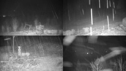 Sdružený snímek okolí chaty Myslivna