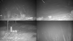 Sdružený snímek okolí chaty Myslivna