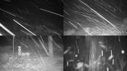 Sdružený snímek okolí chaty Myslivna