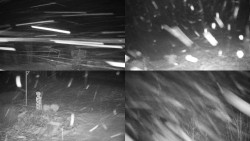 Sdružený snímek okolí chaty Myslivna