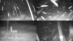 Sdružený snímek okolí chaty Myslivna