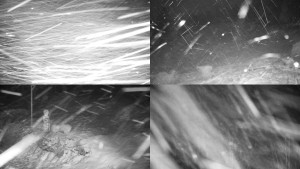 Chata Myslivna SKP Olomouc - Sdružený snímek okolí chaty Myslivna - 30.1.2026 v 00:01 Chata Myslivna SKP Olomouc - Sdružený snímek okolí chaty Myslivna - 30.1.2026 v 00:01