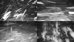 Chata Myslivna SKP Olomouc - Sdružený snímek okolí chaty Myslivna - 30.1.2026 v 02:01 Chata Myslivna SKP Olomouc - Sdružený snímek okolí chaty Myslivna - 30.1.2026 v 02:01