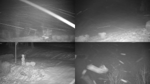 Chata Myslivna SKP Olomouc - Sdružený snímek okolí chaty Myslivna - 30.1.2026 v 04:01 Chata Myslivna SKP Olomouc - Sdružený snímek okolí chaty Myslivna - 30.1.2026 v 04:01