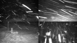 Sdružený snímek okolí chaty Myslivna