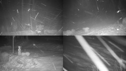 Sdružený snímek okolí chaty Myslivna