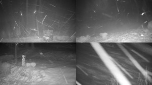 Chata Myslivna SKP Olomouc - Sdružený snímek okolí chaty Myslivna - 30.1.2026 v 06:01 Chata Myslivna SKP Olomouc - Sdružený snímek okolí chaty Myslivna - 30.1.2026 v 06:01