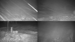 Sdružený snímek okolí chaty Myslivna