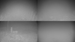 Sdružený snímek okolí chaty Myslivna