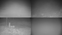 Sdružený snímek okolí chaty Myslivna