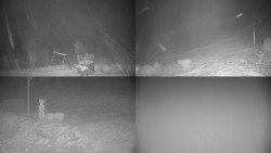 Sdružený snímek okolí chaty Myslivna