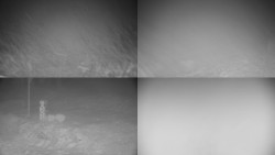 Sdružený snímek okolí chaty Myslivna