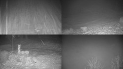 Sdružený snímek okolí chaty Myslivna