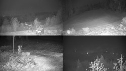 Sdružený snímek okolí chaty Myslivna