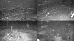 Sdružený snímek okolí chaty Myslivna