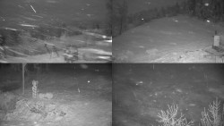 Sdružený snímek okolí chaty Myslivna