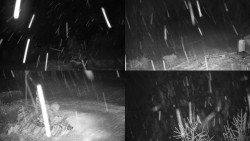 Sdružený snímek okolí chaty Myslivna