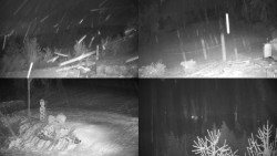 Sdružený snímek okolí chaty Myslivna