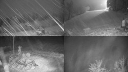 Sdružený snímek okolí chaty Myslivna