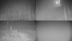 Sdružený snímek okolí chaty Myslivna