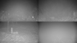 Sdružený snímek okolí chaty Myslivna