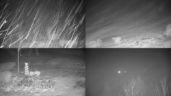 Sdružený snímek okolí chaty Myslivna