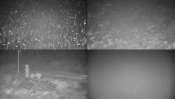 Sdružený snímek okolí chaty Myslivna