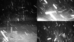 Sdružený snímek okolí chaty Myslivna