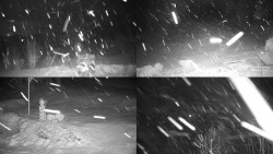 Sdružený snímek okolí chaty Myslivna