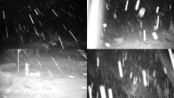 Sdružený snímek okolí chaty Myslivna