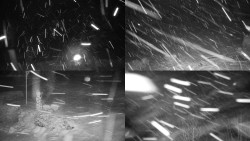 Sdružený snímek okolí chaty Myslivna