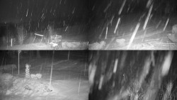 Sdružený snímek okolí chaty Myslivna