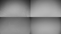 Sdružený snímek okolí chaty Myslivna