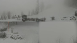 Sdružený snímek okolí chaty Myslivna