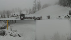 Sdružený snímek okolí chaty Myslivna