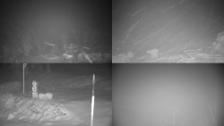 Sdružený snímek okolí chaty Myslivna