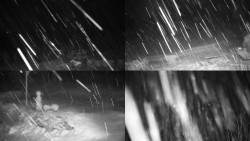 Sdružený snímek okolí chaty Myslivna