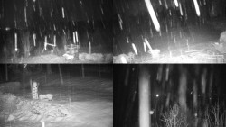 Sdružený snímek okolí chaty Myslivna