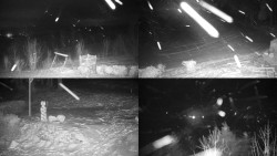 Sdružený snímek okolí chaty Myslivna