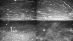 Sdružený snímek okolí chaty Myslivna