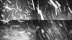 Sdružený snímek okolí chaty Myslivna