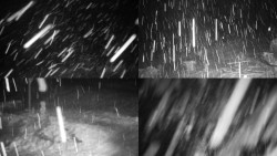 Sdružený snímek okolí chaty Myslivna