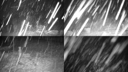 Sdružený snímek okolí chaty Myslivna